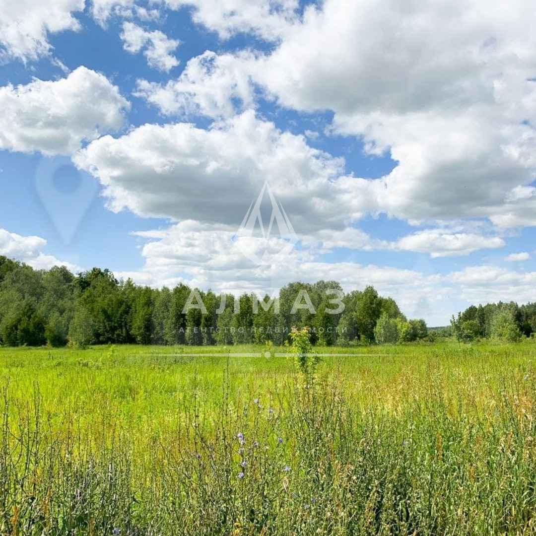 Земля, 12.5 га